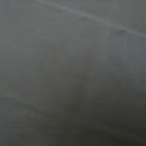 Meet your Posher, Albert